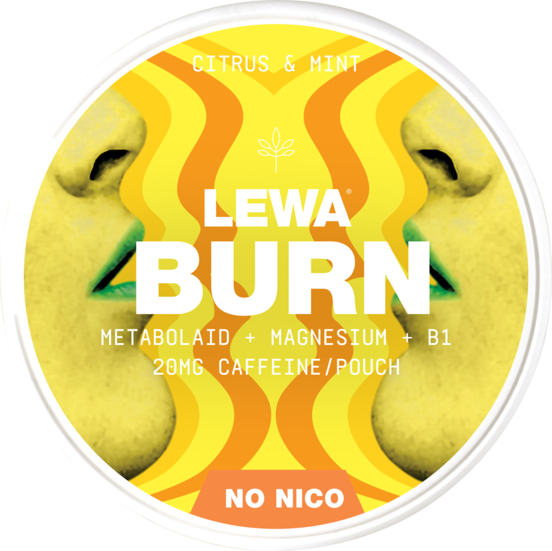 Lewa Burn Citrus Mint