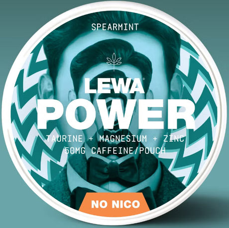 Lewa Power Spearmint - Bundle – Pouches