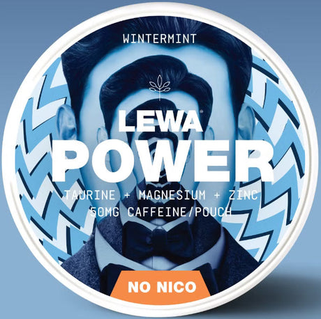 Lewa Power Wintermint - Bundle – Pouches